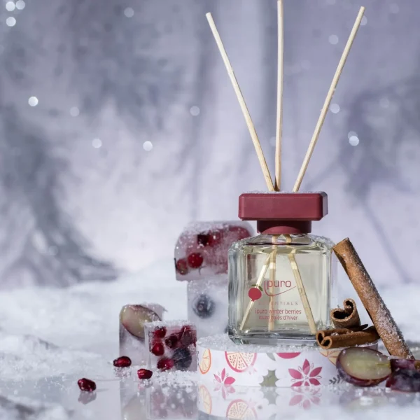 Depot Essentials Parfum D'Ambiance Winter Berries