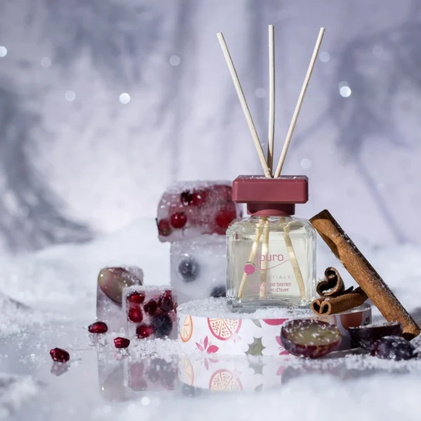 Depot Essentials Parfum D'Ambiance Winter Berries