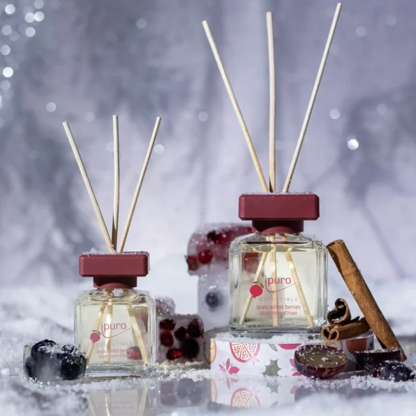 Depot Essentials Parfum D'Ambiance Winter Berries
