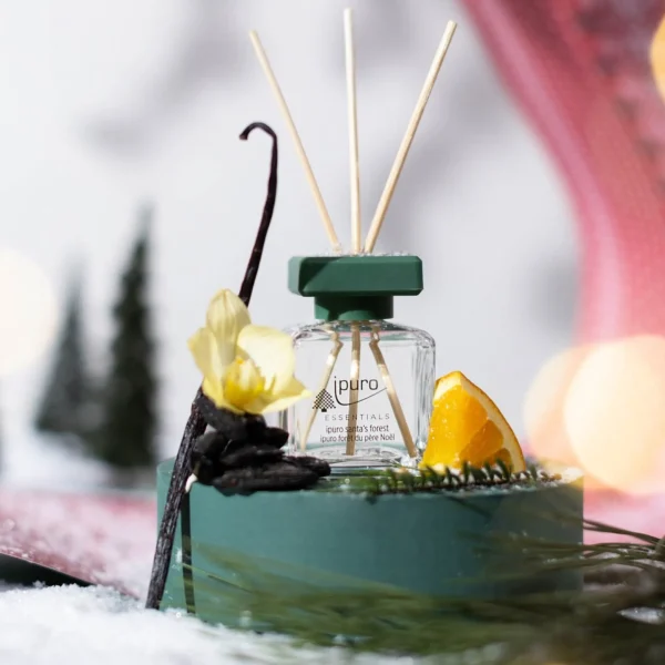 Depot Essentials Parfum D'Interieur Santa'S Forest