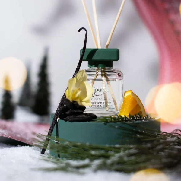 Depot Essentials Parfum D'Interieur Santa'S Forest