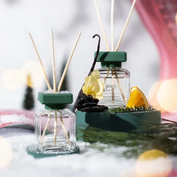 Depot Essentials Parfum D'Interieur Santa'S Forest