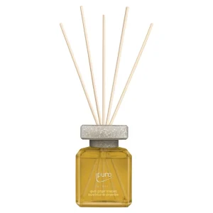 Depot Essentials Parfum D'Interieur Ginger Treasure