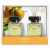 Depot Essentials Set De Parfum D'Ambiance Orange Sky