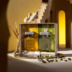 Depot Essentials Set De Parfum D'Ambiance Cardamom Kiss & Ginger Treasure