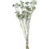 Depot Fagots Secs Achillea