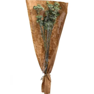 Depot Fagots Secs Achillea