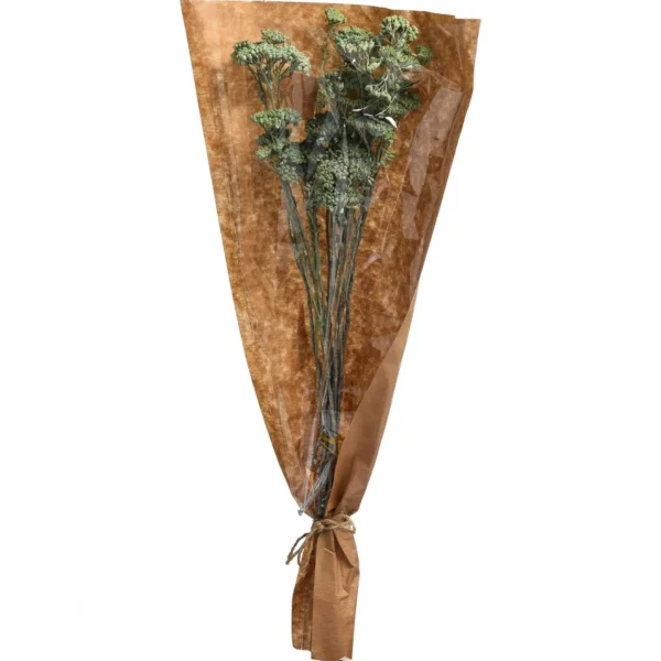 Depot Fagots Secs Achillea