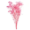 Depot Fagots Secs De Gypsophile