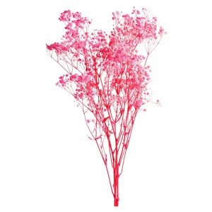 Depot Fagots Secs De Gypsophile
