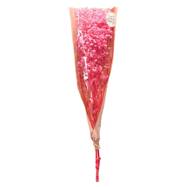 Depot Fagots Secs De Gypsophile