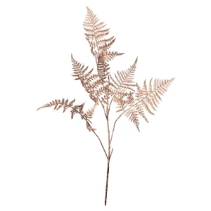 Depot Farnzweig 88Cm, Grun^ Décoration De La Couronne De L'Avent