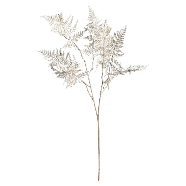 Depot Farnzweig 88Cm, Grun^ Décoration De La Couronne De L'Avent