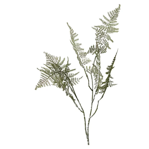 Depot Farnzweig 88Cm, Grun^ Décoration De La Couronne De L'Avent