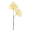 Depot Feuille D'Art Décorative Palm Leaf
