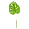 Depot Feuille D'Art Monstera