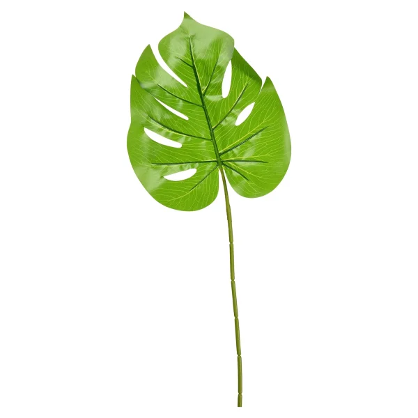 Depot Feuille D'Art Monstera
