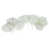 Depot Feuilles De Squelette Sechees