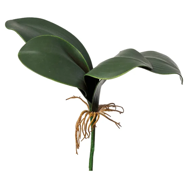 Depot Feuilles D'OrchIdées Artificielles
