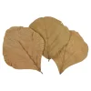 Depot Feuilles Sechees Cobra^ Décoration De La Couronne De L'Avent