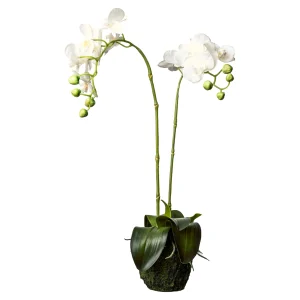 Depot Fleur Artificielle Orchidee Phalaenopsis En Terre^ Arbres Artificiels