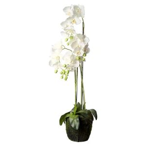 Depot Fleur Artificielle Orchidee Phalaenopsis En Terre^ Arbres Artificiels