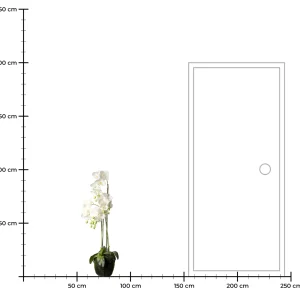 Depot Fleur Artificielle Orchidee Phalaenopsis En Terre^ Arbres Artificiels