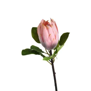 Depot Fleur De Tige Artificielle Protea