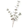 Depot Fleur De Tige Artificielle Eucalyptus^ Fleurs