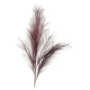 Depot Fleur De Tige Artificielle Pampaswedel^ Fleurs