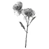 Depot Fleur De Tige Artificielle Protea^ Fleurs