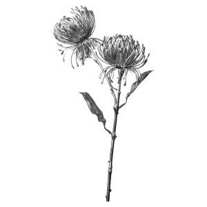 Depot Fleur De Tige Artificielle Protea^ Fleurs