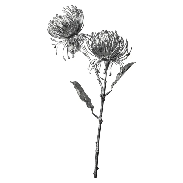 Depot Fleur De Tige Artificielle Protea^ Fleurs