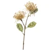 Depot Fleur De Tige Artificielle Protea^ Fleurs