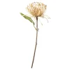 Depot Fleur De Tige Artificielle Protea^ Fleurs