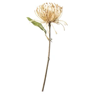 Depot Fleur De Tige Artificielle Protea^ Fleurs