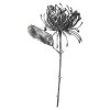 Depot Fleur De Tige Artificielle Protea^ Fleurs