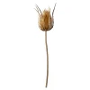 Depot Fleur De Tige Artificielle Chardon^ Fleurs