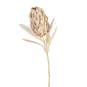 Depot Fleur De Tige Artificielle Protea^ Fleurs