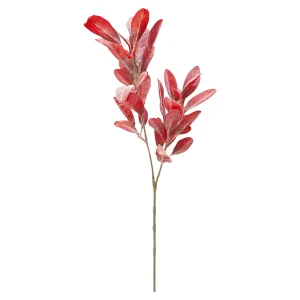 Depot Fleur De Tige Artificielle Eucalyptus