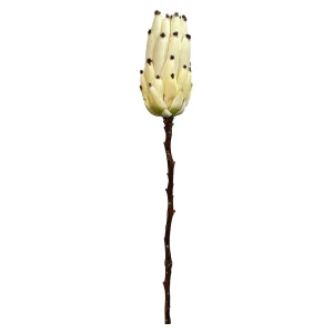 Depot Fleur De Tige Artificielle Protea