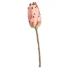 Depot Fleur De Tige Artificielle Protea