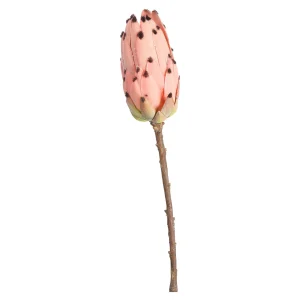 Depot Fleur De Tige Artificielle Protea