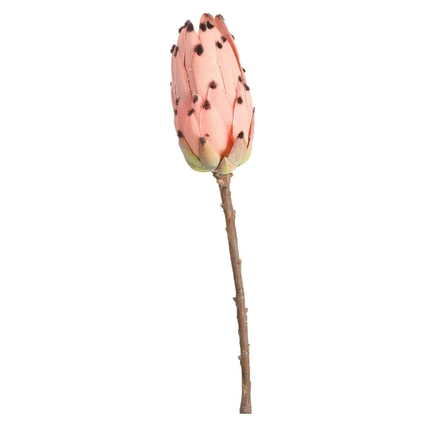 Depot Fleur De Tige Artificielle Protea