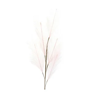 Depot Fleur De Tige Artificielle Pampaswedel