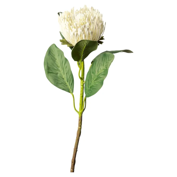 Depot Fleur De Tige Artificielle Protea