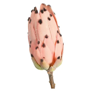 Depot Fleur De Tige Artificielle Protea