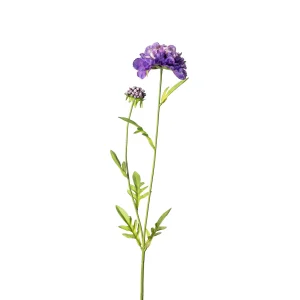 Depot Fleur De Tige Artificielle Scabiosa