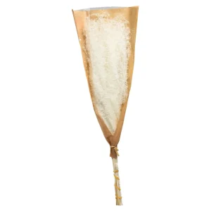 Depot Fleur Seche Roseau