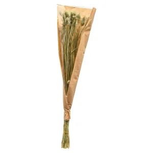 Depot Fleur Sechee Canari
